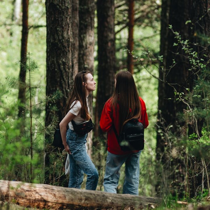 Altes Fenster mit Moos an Gebüsch
