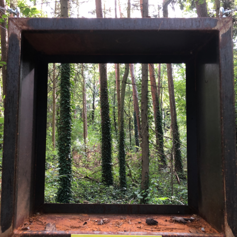 Rostiger Rahmen im Wald hängend